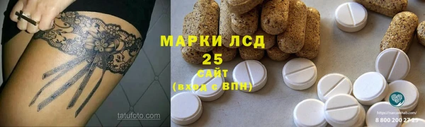 стаф Алзамай