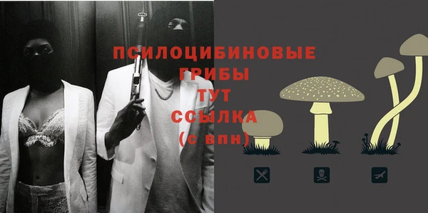 винт Алексин
