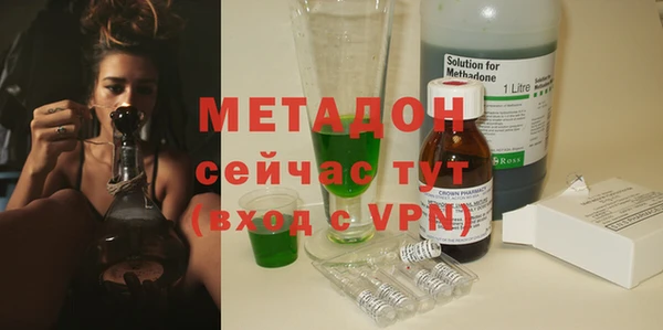 стаф Алзамай