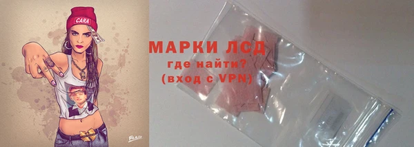 стаф Алзамай