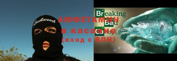 стаф Алзамай