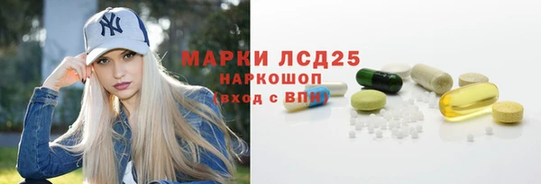 стаф Алзамай